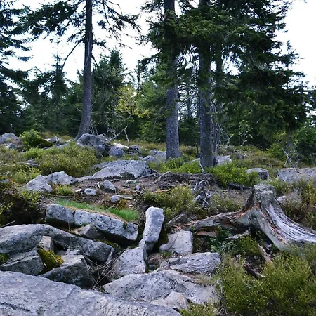 Karamia Guest house Fichtelberg